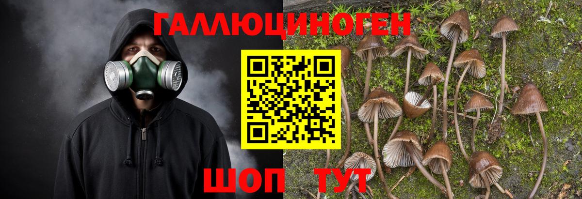 Псилоцибиновые грибы мухоморы Воронеж