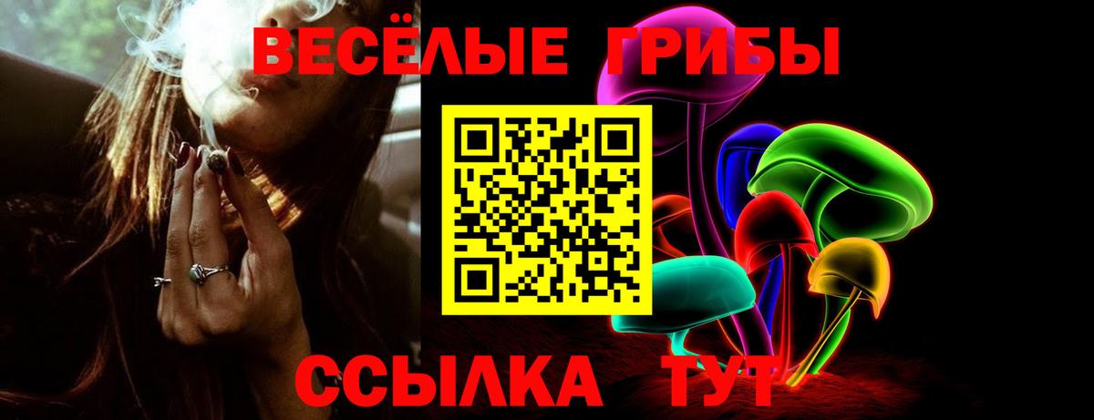 Псилоцибиновые грибы ЛСД  Вход с VPN  купить наркоту  Воронеж 